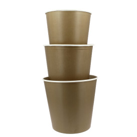 Karton Häncheneimer 5100ml (100 Einheiten)
