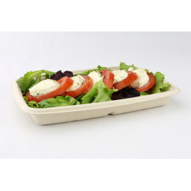 Verpackung Zuckerrohr 165x230x30mm (300 Stück)