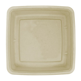 Verpackung Zuckerrohr 230x230x40mm (75 Stück)