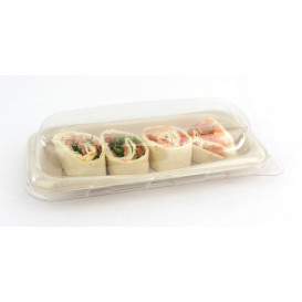Verpackung Zuckerrohr 20x10cm (300 Stück)