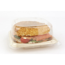 Verpackung Zuckerrohr 14x14cm (50 Stück)