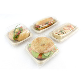 Verpackung Zuckerrohr 14x14cm (50 Stück)