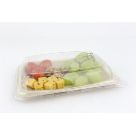 Verpackung Zuckerrohr 20x14cm (50 Stück)