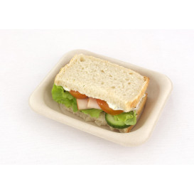 Verpackung Zuckerrohr 14x11cm (300 Stück)