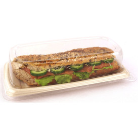 PlastikDeckel für Verpackung Zuckerrohr 24x11cm (50 Stück)