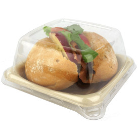 PlastikDeckel für Verpackung Zuckerrohr 13x13cm (50 Stück)