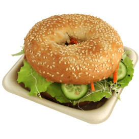 Verpackung Zuckerrohr 14x14cm (50 Stück)