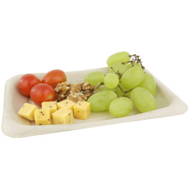 Verpackung Zuckerrohr 20x14cm (50 Stück)