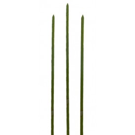 Bambusspieße Grün 180mm (5000 Stück)