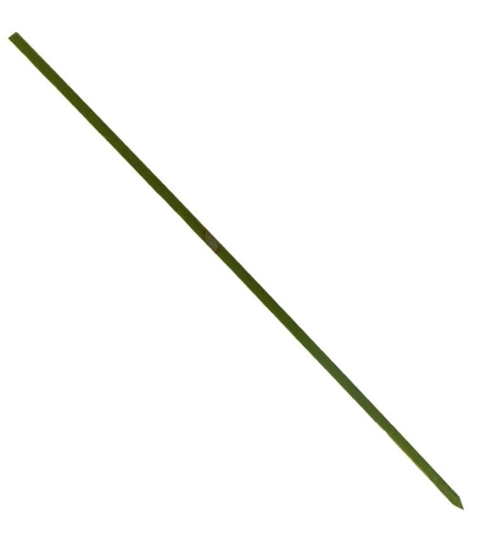 Bambusspieße Grün 180mm (5000 Stück) Bambusspieße Grün 180mm (5000 Stück)