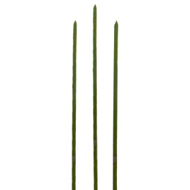 Bambusspieße Grün 200mm (5000 Stück)