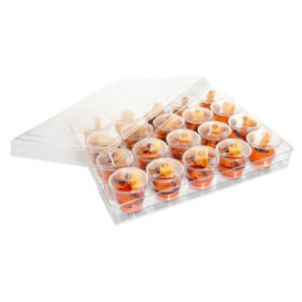 Kit Plastiktablett Kapazität 20 plastikschale Runde (1 Einheit)