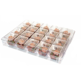 Kit Plastiktablett Kapazität 20 plastikschale Quadrat (1 Einheit)