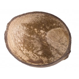 Palmblattschale Kokos-Frucht 150ml (10 Stück)