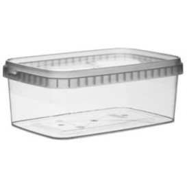 Deckel Zuckerrohr-Fasern 234x172mm (100 Stück)