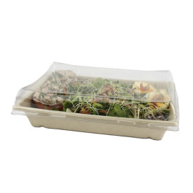 Set Tablett Zuckerrohr + Deckel 220x160x60mm (1 Set)
