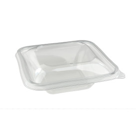Plastikschale PET Impression 750ml 170x170x30mm (300 Stück)