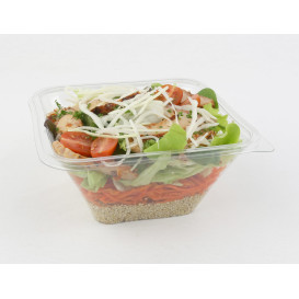 Plastikschale PET Impression 1000ml 170x170x80mm (300 Stück)