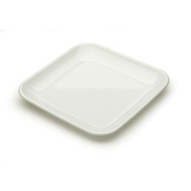 Set aus Plastiktellern und Plastiktabletts für Häppchen (1 Set)