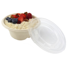 Schüssel Zuckerrohr-Fasern 250ml Ø13cm (100 Stück)