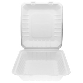 Menübox Zuckerrohr Weiß Zuckerrohr 20x20x7,5cm (200 Stück)