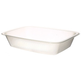 Gastronormbehälter Siegelfähig 154x110x35mm (50 Stück)