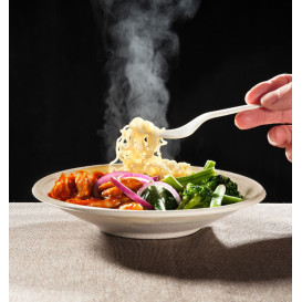 Schüssel Zuckerrohr Bagasse Noodle 710ml (50 Stück)