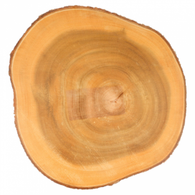 Holztablett Rund Präsentation Ø230x35mm (1 Stück)