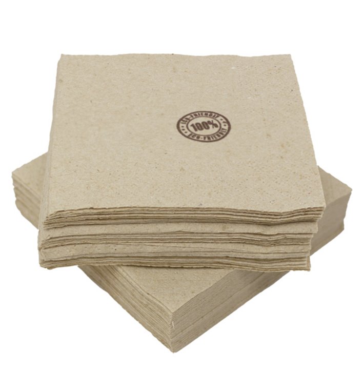 Bio Papierservietten "Recycled" 2L 20x20cm (100 Stück) Bio Papierservietten "Recycled" 2L 20x20cm (100 Stück)