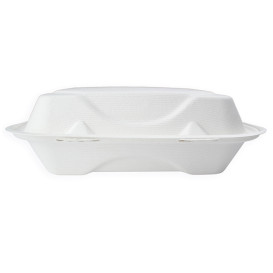 Klappschachtel Zuckerrohr Weiß 3F 23x23x7,5cm (50 Stück)