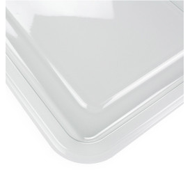 Plastikplatte RPET Klare 46x30cm (10 Stück)