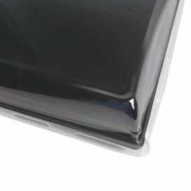 Plastikplatte schwarz mit Deckel PET 16x22cm (15 Stück)
