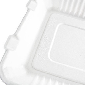 Klappschachtel Zuckerrohr mit PLA Weiß 3F 23x23x7,5cm (200 Stück)