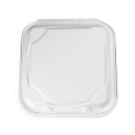 Klappschachtel Zuckerrohr Weiß 3F 23x23x7,5cm (50 Stück)