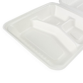 Klappschachtel Zuckerrohr mit PLA Weiß 3F 23x23x7,5cm (50 Stück)