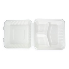 Klappschachtel Zuckerrohr mit PLA Weiß 3F 23x23x7,5cm (200 Stück)