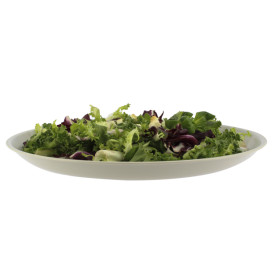 Wiederverwendbare Plastikteller PP Mineral Grau Ø275mm (6 Stück)