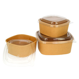 Verpackung Quadratische aus Kraftkarton 1000ml 17x17x6,5cm (50 Stück)