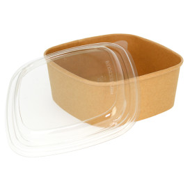 Verpackung Quadratische aus Kraftkarton 1000ml 17x17x6,5cm (50 Stück)