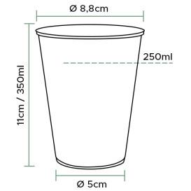 Plastikbecher Transparent PP 350ml  (50 Stück)