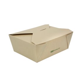 Amerikanische Kraftkarton schachtel 20x14x6,5cm (45 Stück)