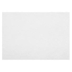 Tischsets "Novotex" Polyester-Vliesstoff Weiß 35x50cm 50g (500 Stück)