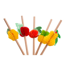 Trinkhalme Starr Einzeln Früchte  Ø6mm 23cm (2.400 Stück)