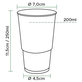 Plastikbecher Transparent PP 250ml (3000 Stück)