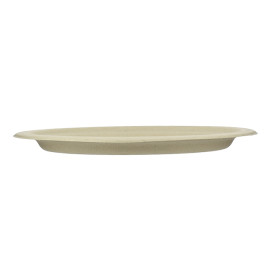 Tablett Zuckerrohr 263x199x20mm (50 Stück)