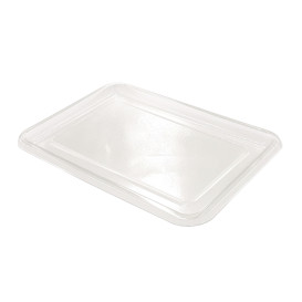 Plastikplatte RPET Klare 46x30cm (10 Stück)