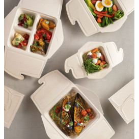 Menübox Zuckerrohr 21x21x4cm 1350ml (50 Stück)