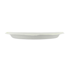 Chinet Teller mit Randverzierung 240mm Flavour (100 Stück)