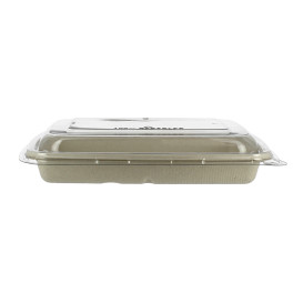 Verpackungen Zuckerrohr mit Deckel 600ml 230x160x50mm (15 Stück)