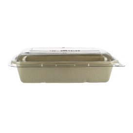 Verpackungen Zuckerrohr mit Deckel 950ml 230x160x60mm (90 Stück)